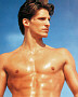 [Torso]